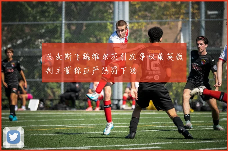 戈麦斯飞踹维尔茨引发争议前英裁判主管称应严惩罚下场