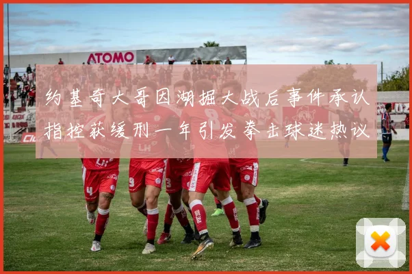 约基奇大哥因湖掘大战后事件承认指控获缓刑一年引发拳击球迷热议