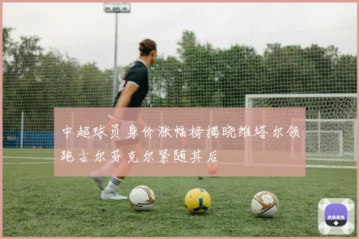 中超球员身价涨幅榜揭晓维塔尔领跑古尔芬克尔紧随其后